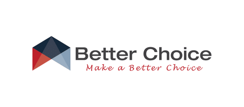 A geometric house-shaped logo with blue and red sections appears to the left of the words "Better Choice" in bold gray text, and "Make a Better Choice" in red cursive below on a white background.