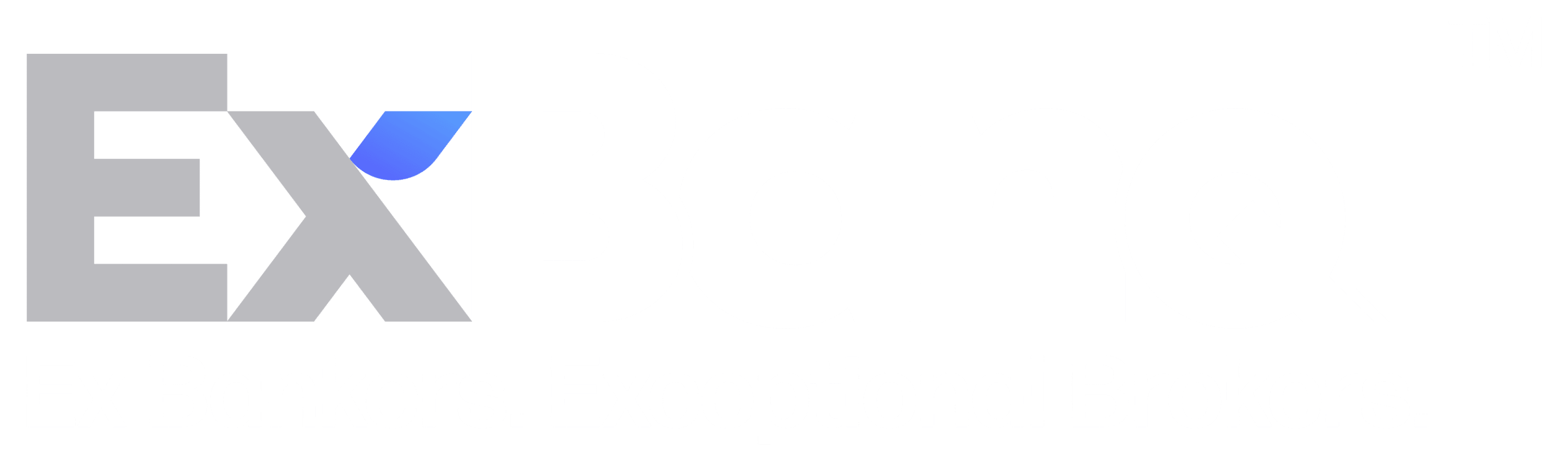 ExBanqi